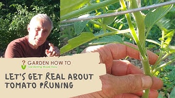 Bringing out the best in Tomato Pruning