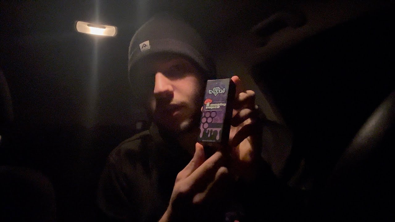 ASMR | Exodus Mushy Disposable Review