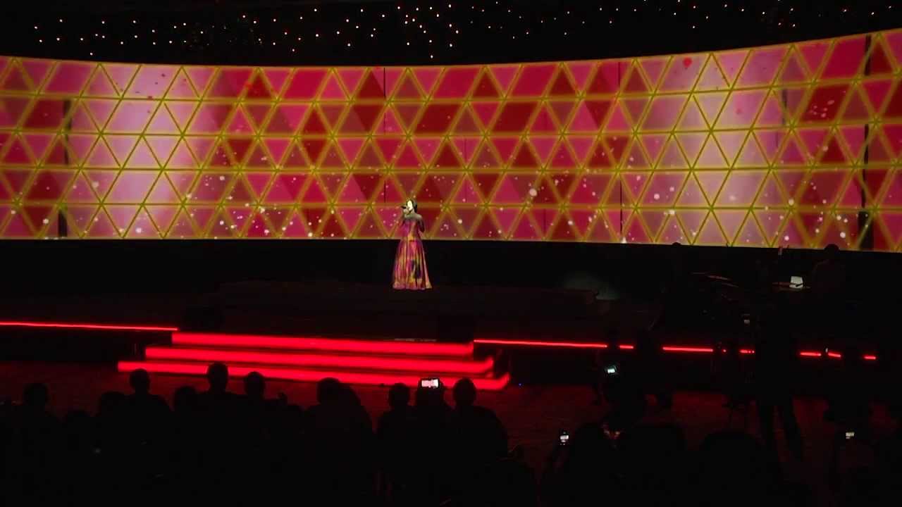 Raisa - dress mapping,  inaicta award 2013