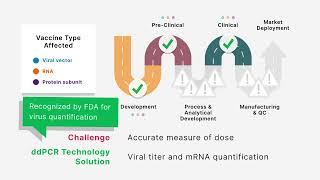Did You Know That ddPCR™ Technology Can Mitigate Challenges Across Vaccine R&D and Manufacturing?