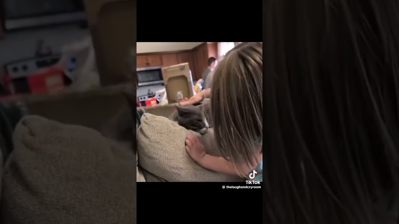 Ducks changing their mind about going out in the snow 😂😂