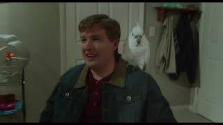 Dumb and Dumber To - Billy's rare birds