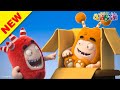 Oddbods | Nouveau | ACTIVITÉ D'ÉTÉ | Dessins Animés Amusants pour les Enfants HD