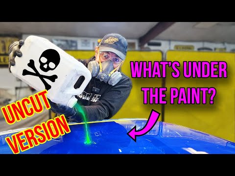 We Stripped the Roof… and Found This! 😱 Subaru Impreza Paint Rescue - Members Only UNCUT