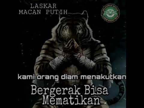 Story Macan Putih