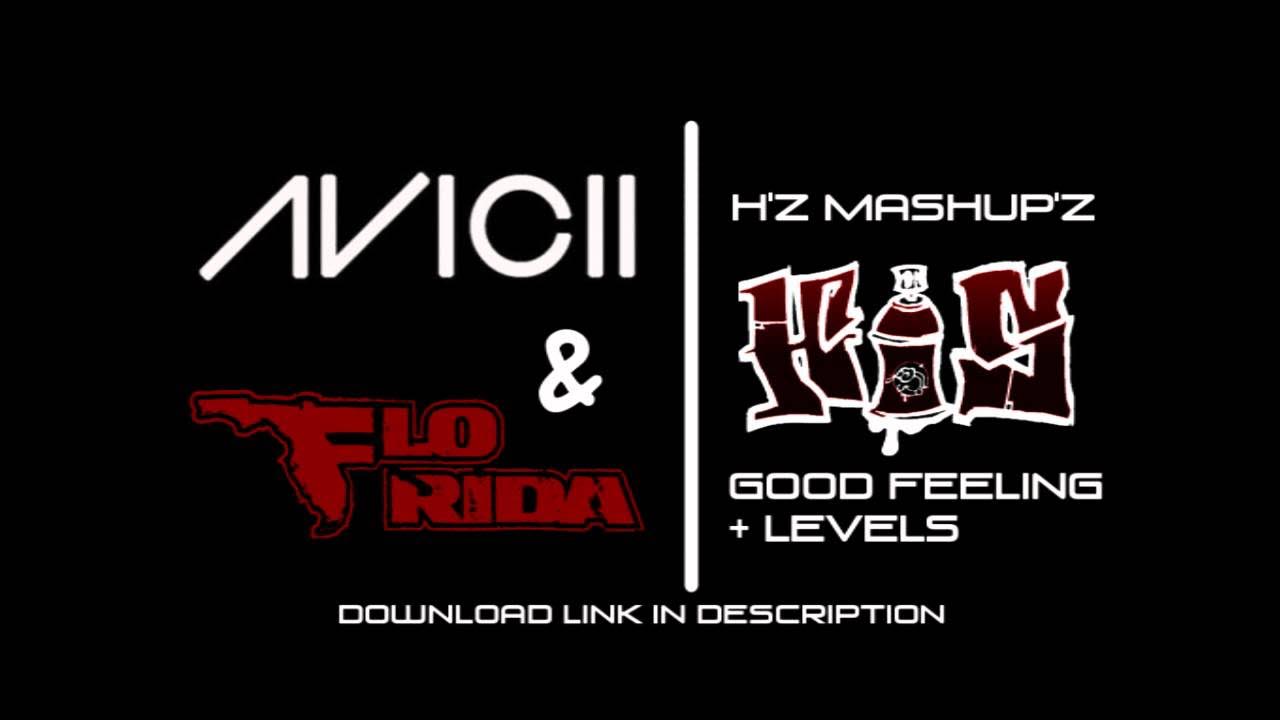 Levels Feeling Good (Avicii & Flo Rida) YouTube