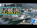 尾鷲港　そこは大物釣り師から堤防釣り初心者まで、幅広く楽しめる港です【三重の堤防釣りポイント　2023年 版】