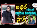 YouTube: Akhil Agent Movie Latest News | Nagarjuna | Akhil Upcoming Movies | Tollywood Updates | CF Movies