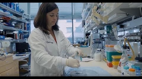 Lost in Translation: Protein Synthesis Inhibition in ALS