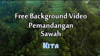 Free Background Video Pemandangan Sawah