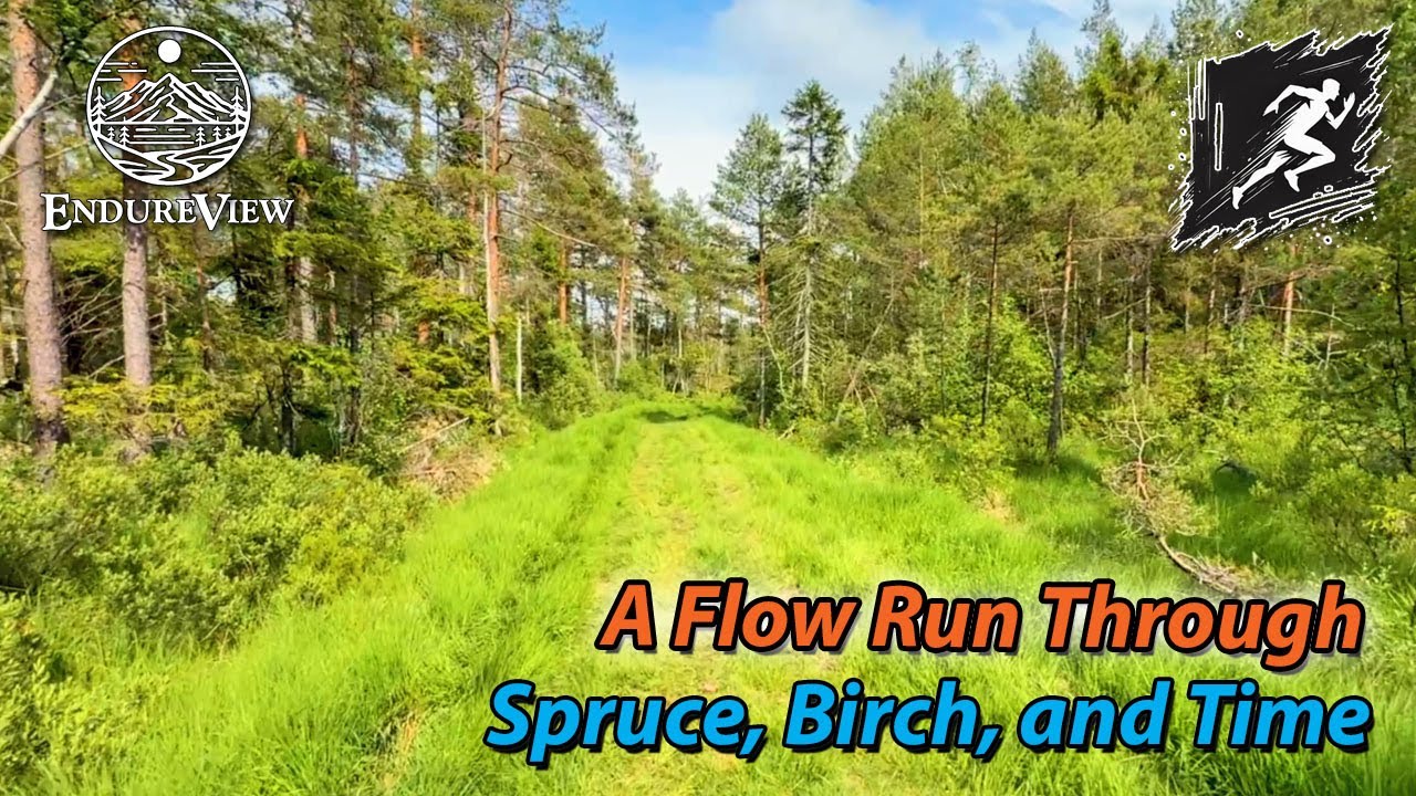 Virtual Running | Chasing Stillness: A Flow Run Through Spruce, Birch, and Time