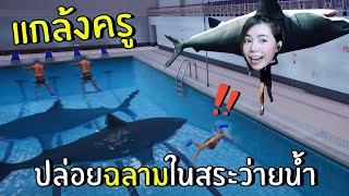 [ENG SUB] Put the Sharks in the Swimming Pool! | Bad Guy at School