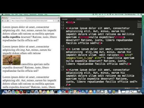 HTML Essential Tutorial #9 What are Inline and Block level Elements  How To Display Them