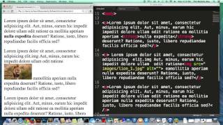 HTML Essential Tutorial #9 What are Inline and Block level Elements  How To Display Them
