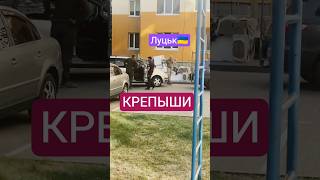 🇺🇦 ДОБРИЙ РАНОК УКРАЇНА #policeofdnipro #мобілізація #тцк #закон #поліціяукраїни #пильний #shorts