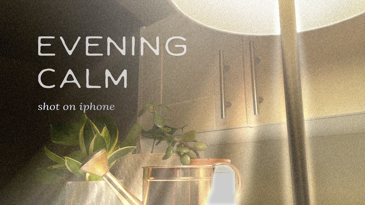 evening calm | short film