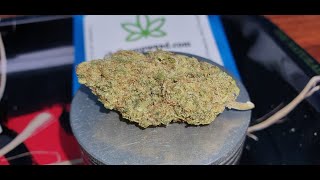 CBDHempWeed - White Russian CBD Flower Review
