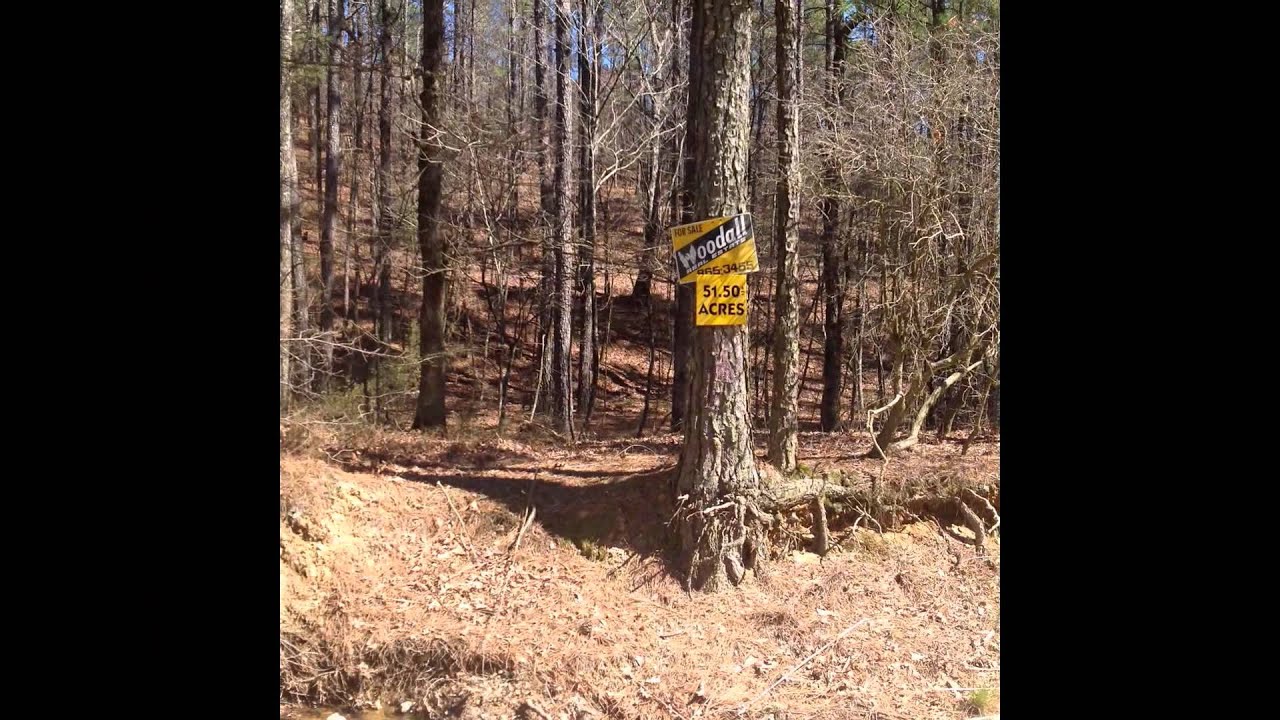 Bismarck Arkansas land for sale from Woodall Real Estate YouTube