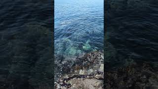 Ocean Waves at a Beach near Odawara | 4K | to Relax and Sleep | Stereo Sound @yournaturesroom