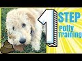 1 STEP: Potty Training for Your New PUPPY! Seriously, Easiest Dog Training Hack that Worked For Me!