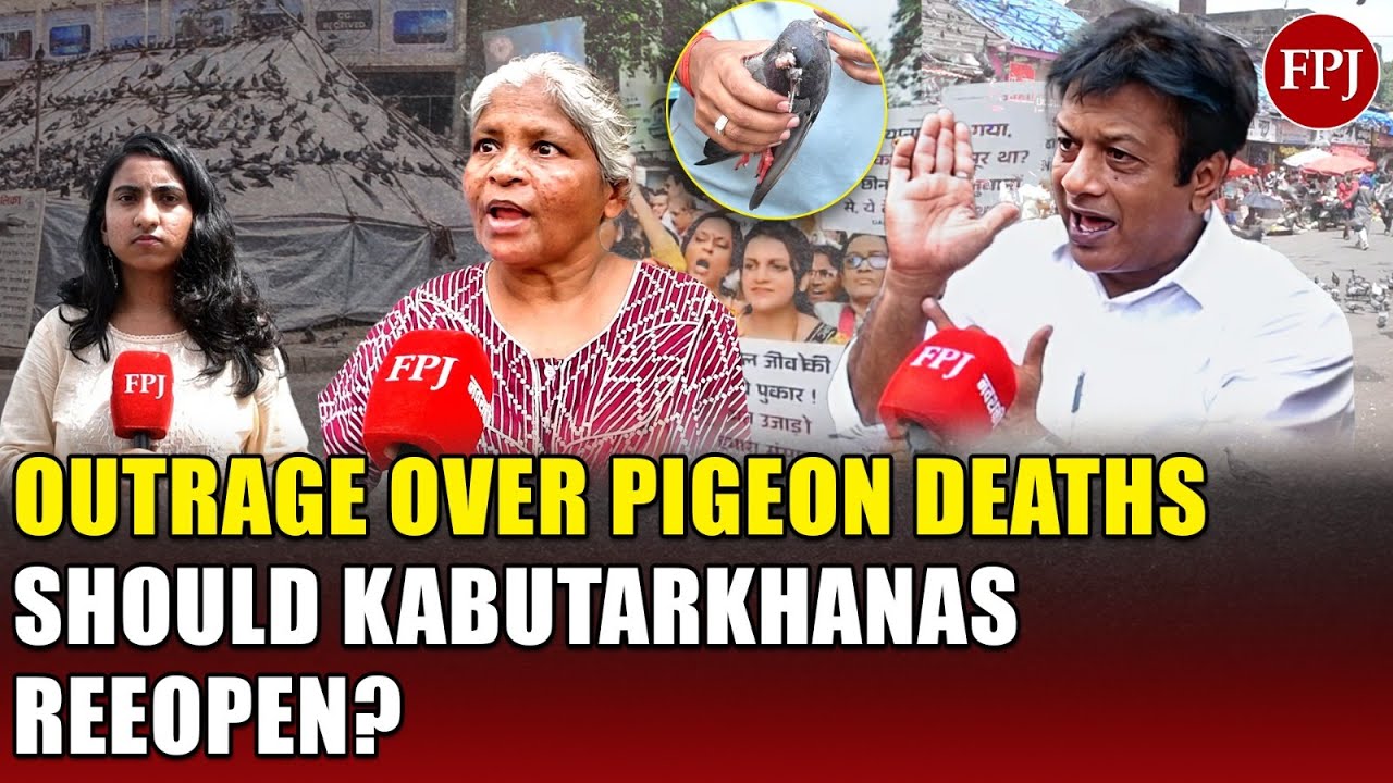 Mumbai’s Iconic Kabutarkhana Sealed by BMC | Locals, Doctors Clash Over Pigeon Ban