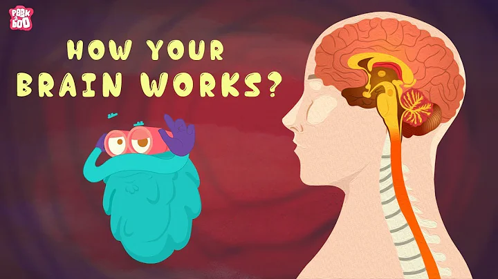 How Your Brain Works? - The Dr. Binocs Show | Best Learning Videos For Kids | Peekaboo Kidz - DayDayNews