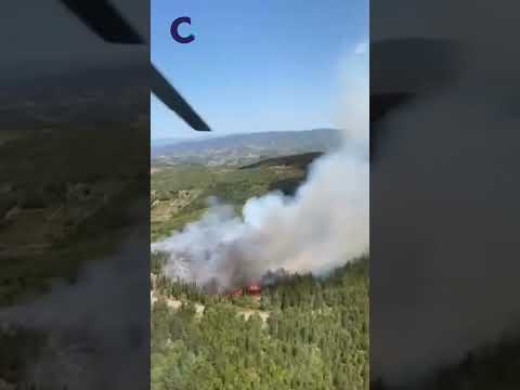 Video Fiamme e una densa colonna di fumo sulle colline di San Donato in Poggio
