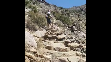 JOSHUA TREE || MINI VLOG || QUIK APP