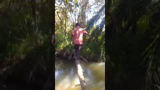 Congo nde mboka... Congo mboka ya ba koko #kingfan #funny #viral #pourtoi #youtubeshorts