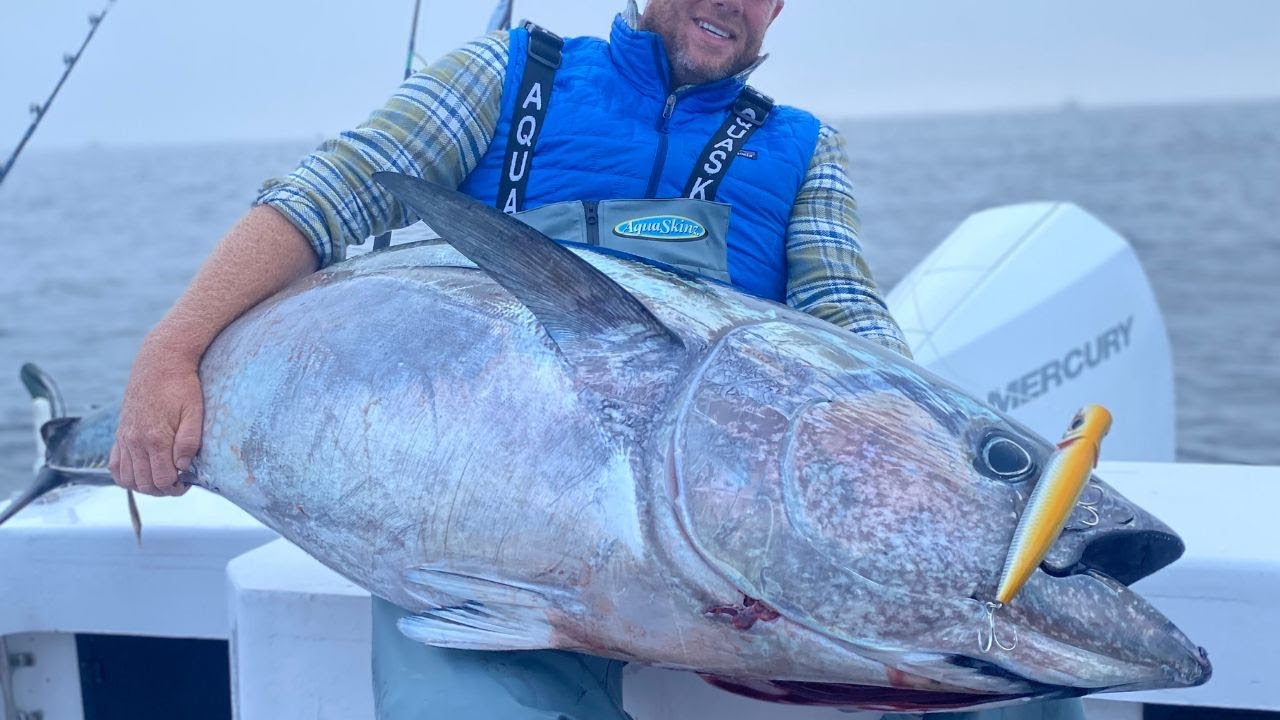 Nantucket Current  Current Waters - Tuna Time