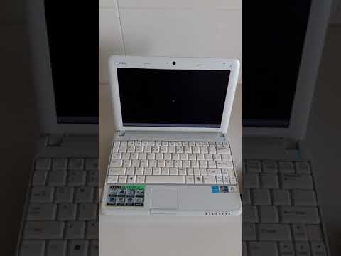 XenialPup.