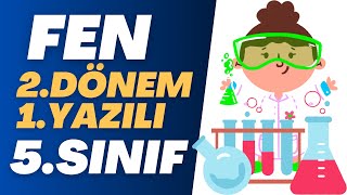 5. Sınıf Fen Bilimleri 2. Dönem 1. Yazılı Soruları ve Çözümü Yeni #yazılı 'lük Sorular @dersodasi