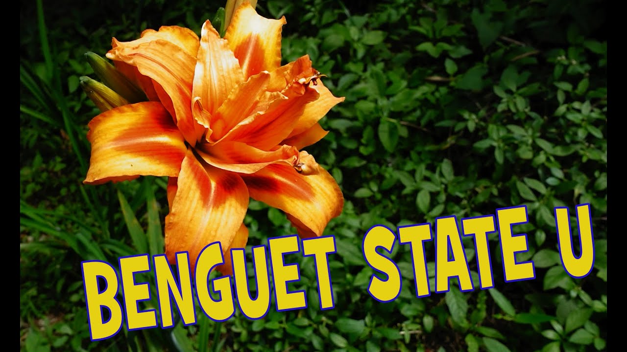 Inside the BSU Main Campus