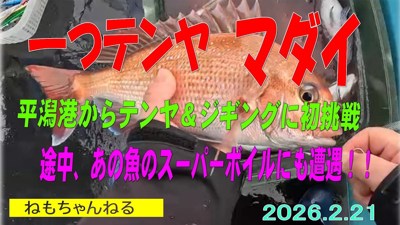 一つテンヤマダイ