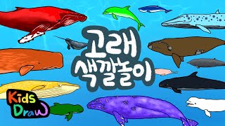 우리 아이가 좋아하는 고래 색깔놀이 | 다양한 색깔의 고래친구들을 만나보아요 |  알록달록 고래 색깔공부 | 키즈드로우 screenshot 4