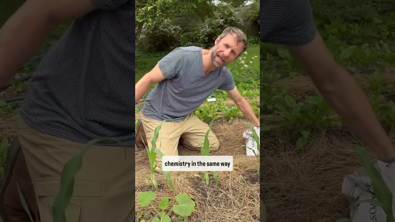 How to Bring Gardening into Your Homeschooling