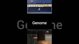 Real Marshall vs Genome #marshall #jcm800 #twonotesaudio #genome Real Marshall vs Genome #marshall #jcm800 #twonotesaudio #genome