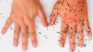 蚊を追い払う8つの天然法