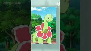 Chikorita Pokemon Full Evolution