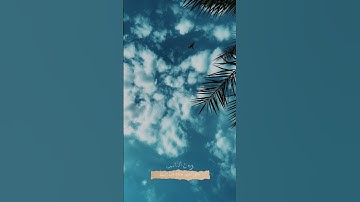 سورة لقمان (٢٠) - الشيخ فيصل الفهيد