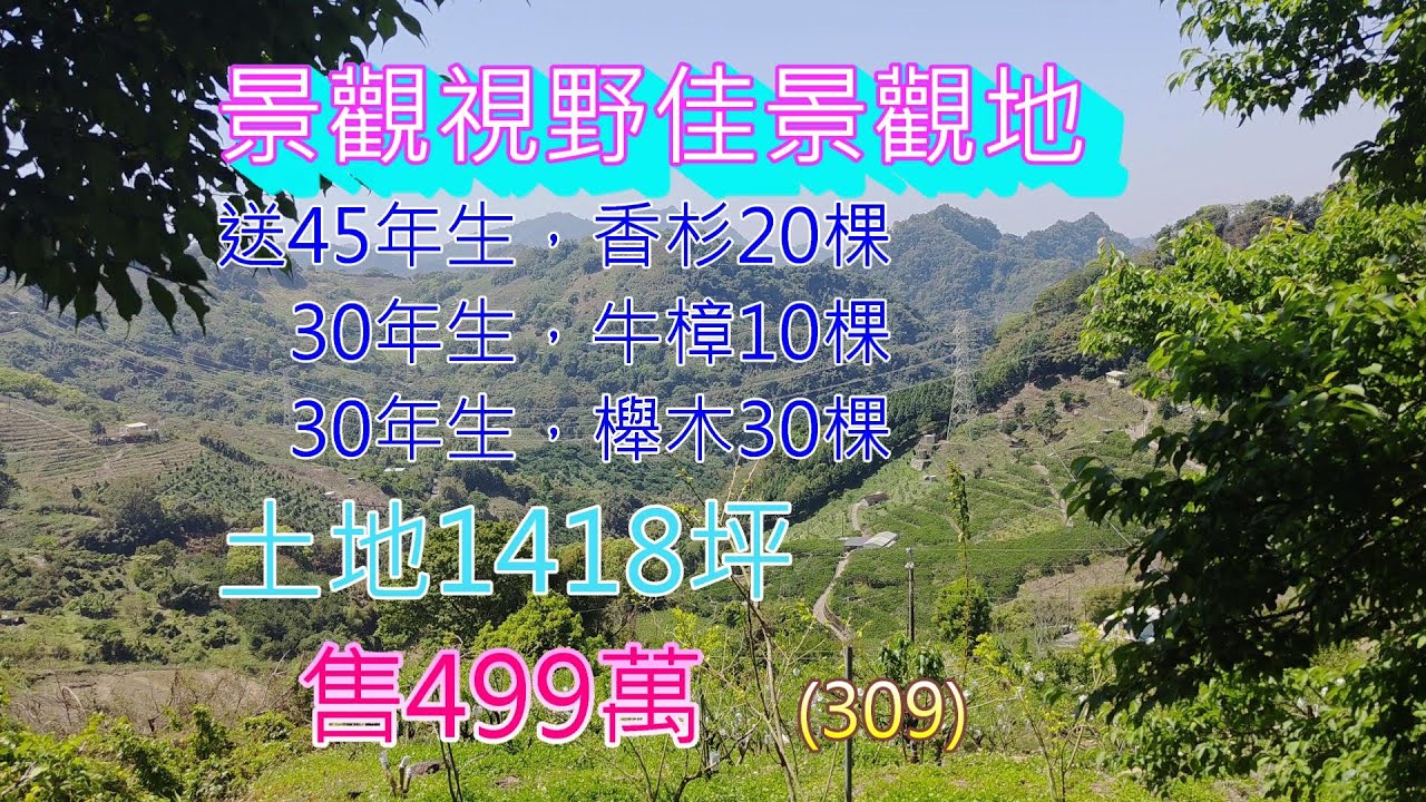 (309) 售出了！ 每坪3500元，售499萬。東勢區軟埤坑農地，景觀視野佳，送幾十年生，香杉，牛樟，櫸木，土地1418.72坪      (309)