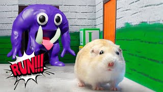 Captain Fiddles Vs Hamsterious In Garten Of Banban | Hamster Escape Challenges by Hamsterious 267,269 views 1 year ago 4 minutes, 43 seconds