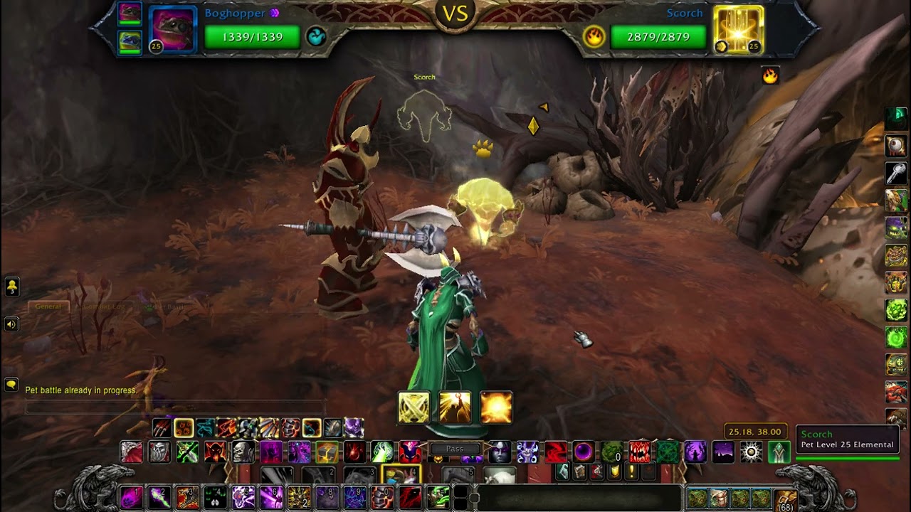 Scorch pet battle (2pets)