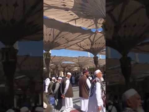 مدينة رسول الله