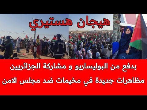 عاجل لليوم الثاني تواليا البوليساريو تواصل دفع سكان تندوف و سكان مخيمات تندوف للتظاهر ضد الحكم ذاتي