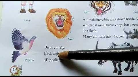 Std  3  EVS CH 2 Similarities and differences between living things