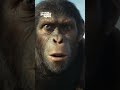 Kingdom of the Planet of the Apes | May 10