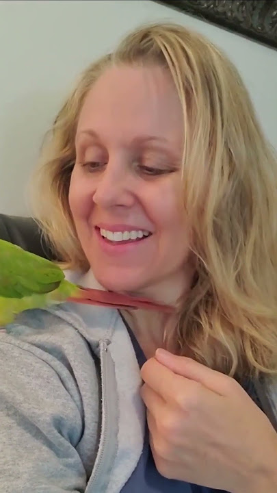 Julia ann