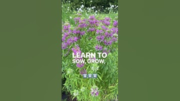 Comment FLOWER and I’ll DM the link or just visit my profile for this brand new course : Cool Flower