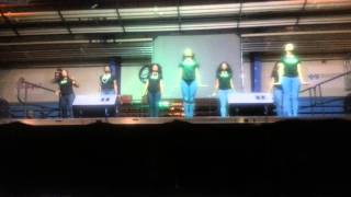 Meet the Greeks Delta Lambda AKA'S